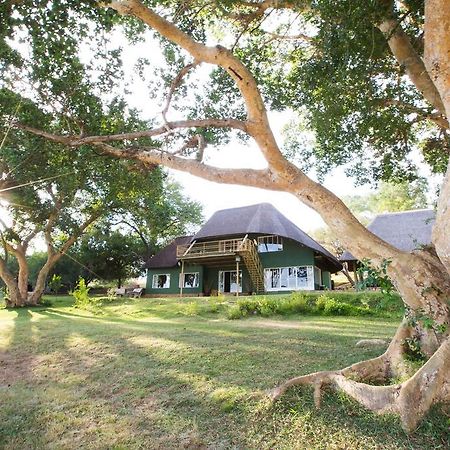 Maninghi Lodge Balule Game Reserve Zewnętrze zdjęcie