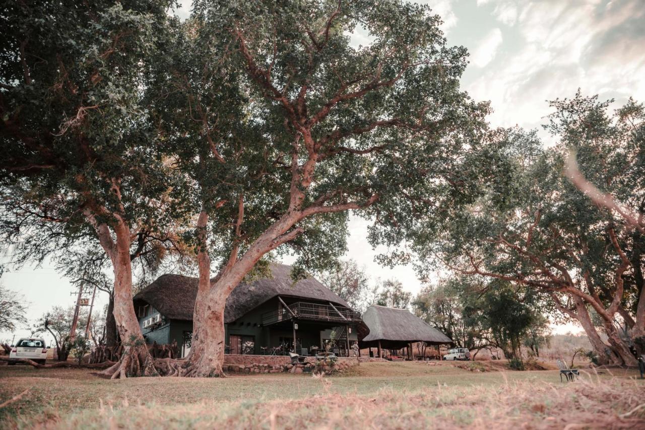 Maninghi Lodge Balule Game Reserve Zewnętrze zdjęcie