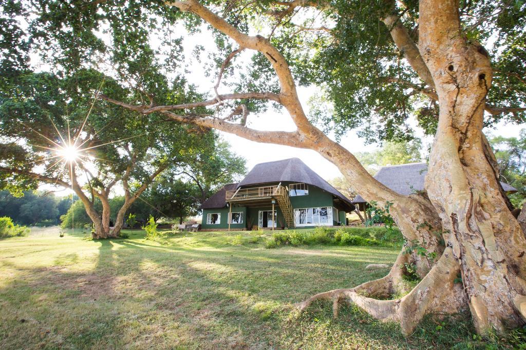 Maninghi Lodge Balule Game Reserve Zewnętrze zdjęcie